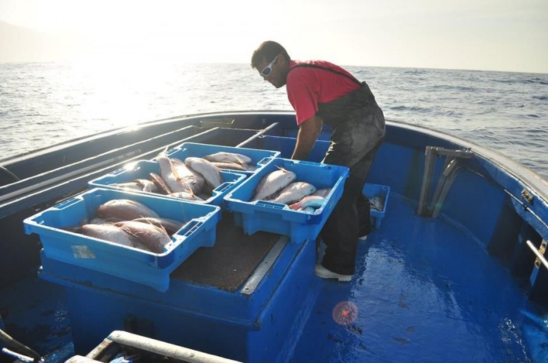 �ltimos d�as para que las cofrad�as soliciten la ayuda para instalar renovables