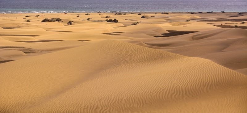 Las Dunas de Maspalomas a an�lisis por expertos de Australia, M�xico y Reino Unido 