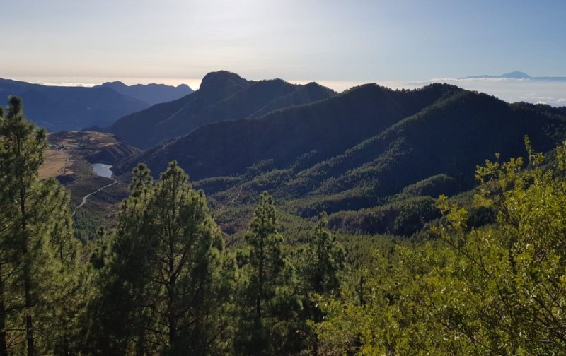 El Cabildo de Gran Canaria desactiva el Plan de Emergencias