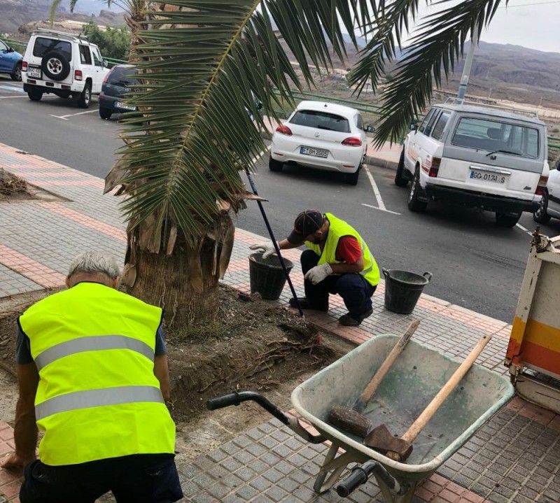 San Bartolom� de Tirajana, adecenta y mejora varios puntos del municipio