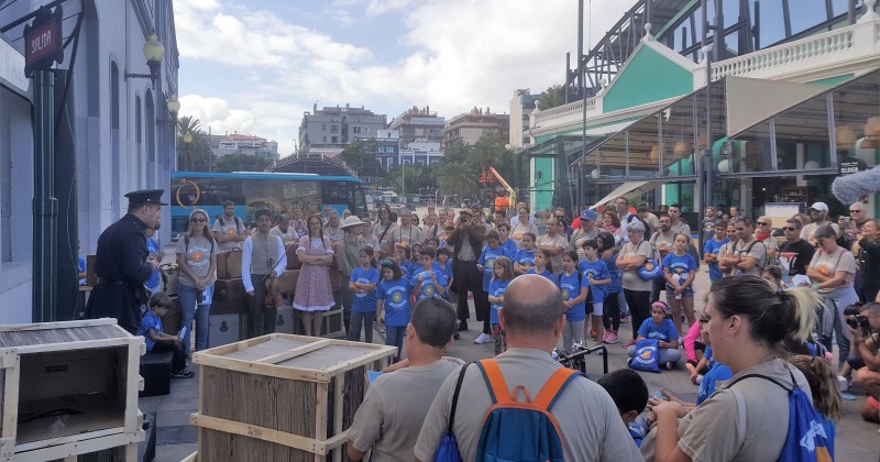 M�s de 200 personas vivieron la aventura `Misi�n en la Isla� de la mano de GLOBAL