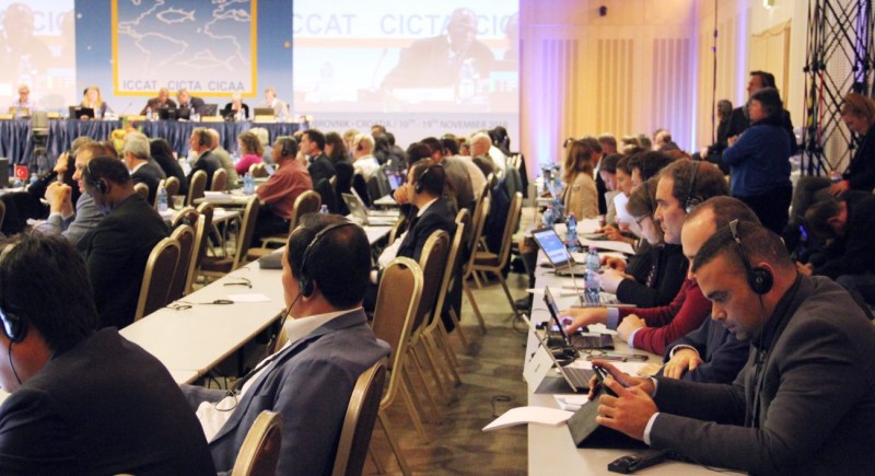 Canarias contar� con una cuota espec�fica de at�n rojo asignada por la Uni�n Europa