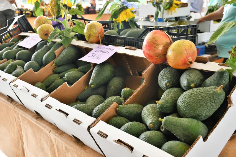 La IV Feria del Aguacate de Mog�n recibe a 10.000 personas
