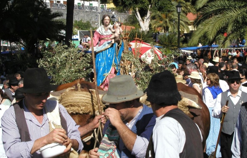 La romer�a de Los Labradores cumple 50 a�os de celebraci�n de la canariedad