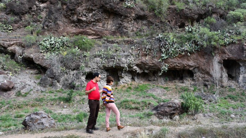 Mog�n concluye la retirada de ca�averales y reforestaci�n en Las Filipinas y El Caidero