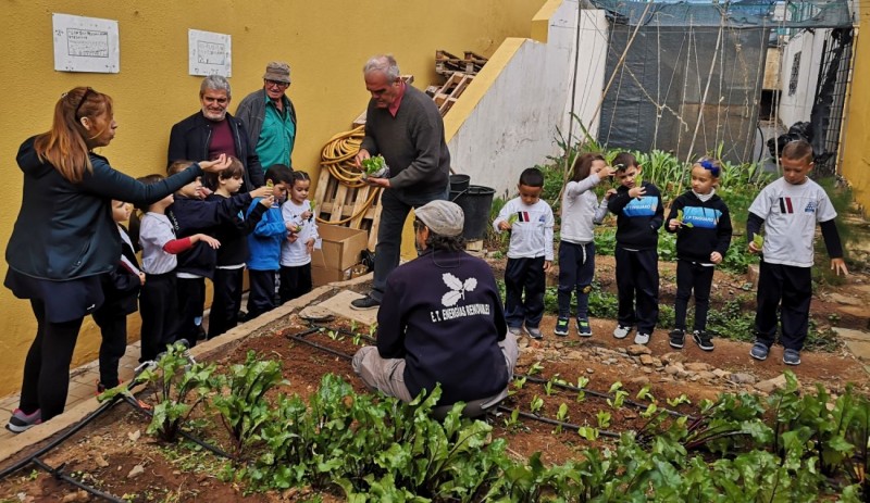 Escolares del CEIP Tinguaro aprenden la importancia de la agricultura y comer sano