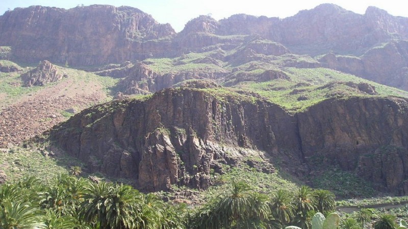 El Cabildo prosigue con la compra de los terrenos de Amurga, Pico Vieto y Peralillo 