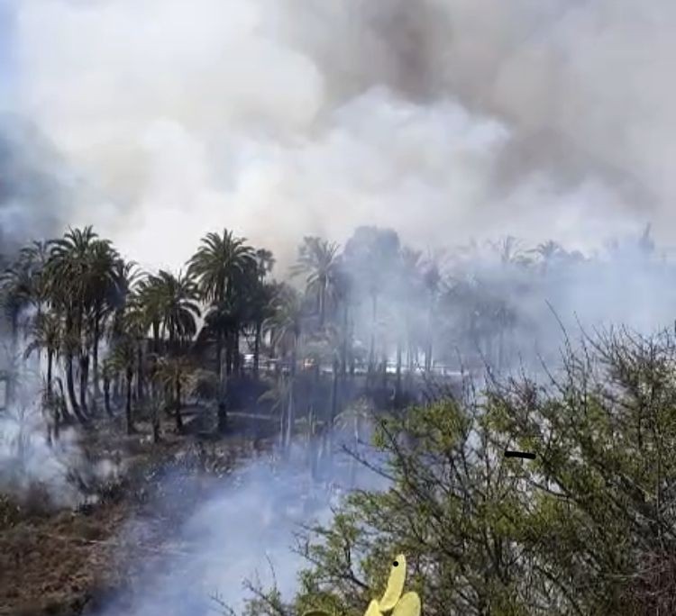 El incendio del Molino de Fataga, queda extinguido de madrugada