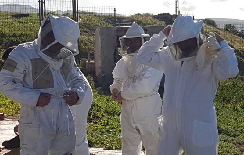 Tirajana sigue potenciando el crecimiento de la apicultura 