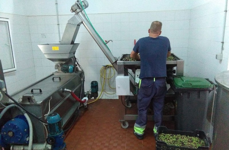La almazara se Santa Luc�a cierra la zafra con una producci�n de 12.180 litros de aceite de oliva virgen