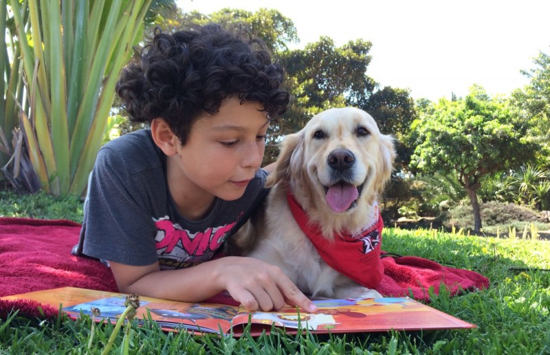 San Bartolom� de Tirajana ya celebra el D�a del Libro 2019