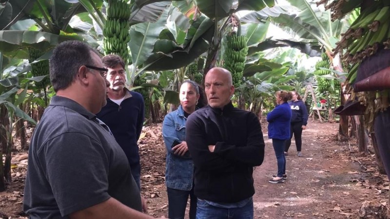 La agricultura, clave en el desarrollo de Santa Luc�a para el PSOE