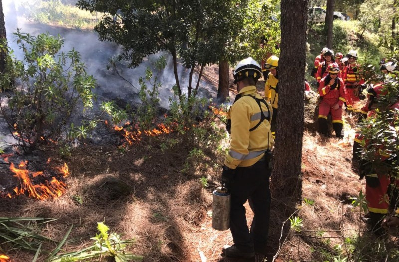 El Cabildo forma a la UME en el uso del fuego controlado para la extinci�n de incendios 