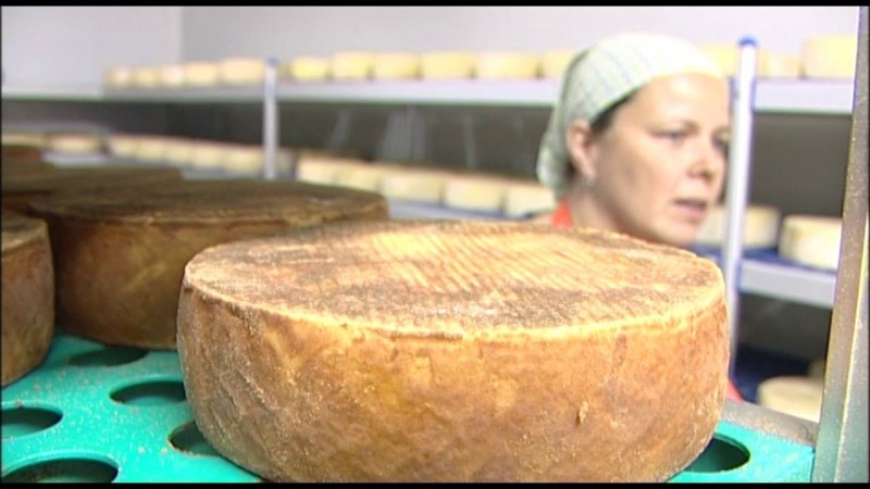 La Quesera ?La Era del Cardn? obtiene la Medalla de Oro en el Concurso de Quesos Agrocanarias 2019