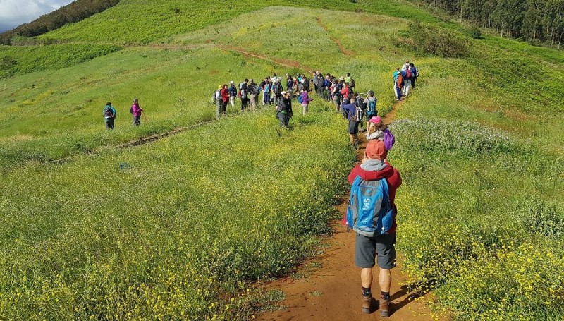 El programa de senderismo de Santa Luca  invita a recorrer desde Valleseco a la costa de San Andrs
