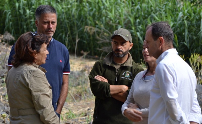 Finaliza proyecto Restauracin Ecolgica Barranco Guayadeque