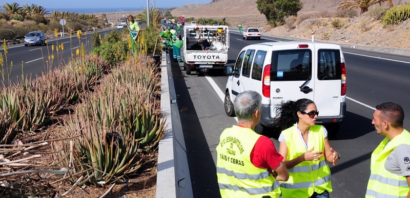 Los jardines de la Autopista del Sur recobran vida 
