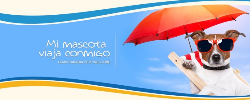 Gran Canaria, primer destino de Europa que crea una marca para el turismo de mascotas