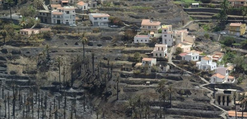 El Gobierno solicita la colaboraci�n ciudadana en la investigaci�n del origen de los conatos en Canarias