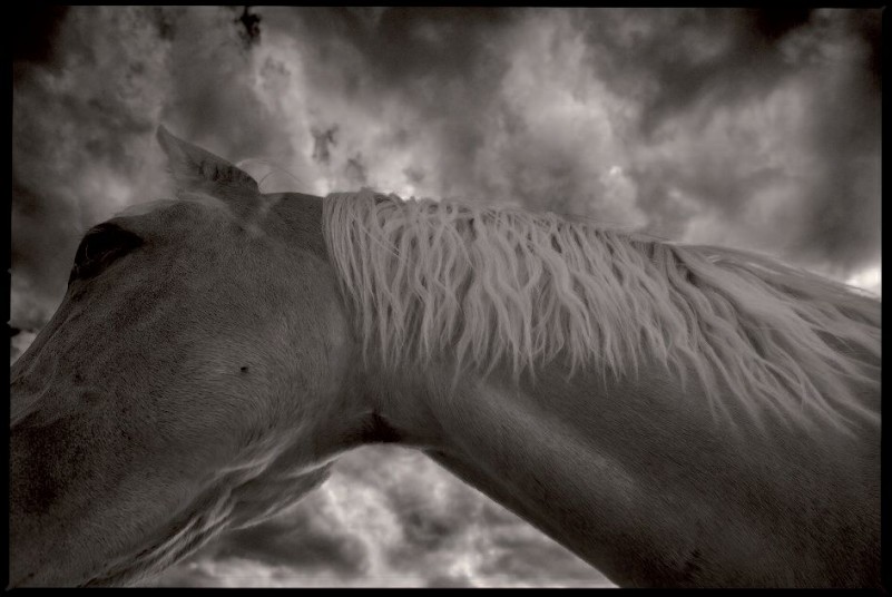 Santa Luc�a ha convocado el XXIII Certamen de Fotograf�a,