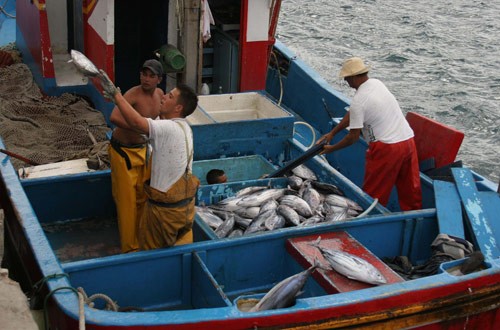 El Cabildo destina 33.500 euros a fomentar la actividad pesquera artesanal