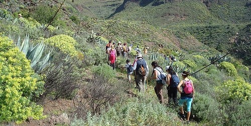 Canarias publicita la oferta de turismo rural en Alemania