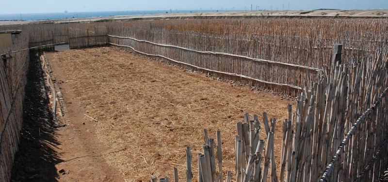 Santa Luc�a publica las bases para adjudicar los Huertos Urbanos de Garant�a Agroalimentaria  