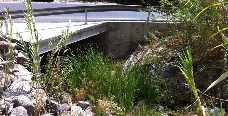 Compromiso por San Bartolom� de Tirajana, insta al Grupo de Gobierno a que gestione con el Cabildo la limpieza del barranco de Ayagaures.