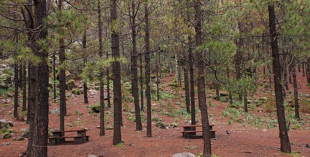 La alerta por lluvias obliga al cierre de las �reas recreativas y zonas de acampada de Gran Canaria
