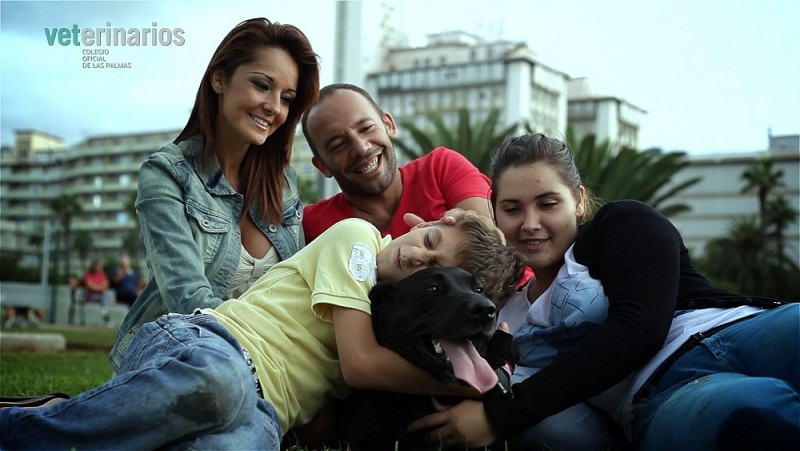 El Colegio de Veterinarios produce un v�deo para sensibilizar a los j�venes sobre los abandonos y la adopci�n de animales