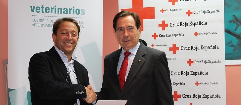 Veterinarios de Las Palmas colabora con el Plan de Empleo de Cruz Roja.