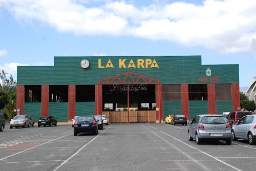 FOCS, denuncia ante la Fiscal�a todas las Fiestas Publicas de Fin a�o en Canarias