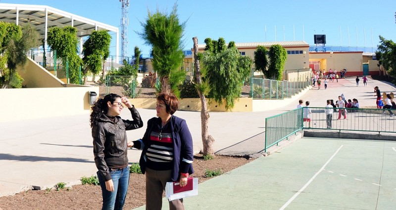San Bartolom� limpia m�s de 60 toneladas de poda de los colegios