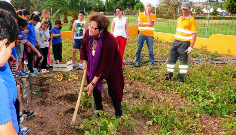 Los estudiantes apa�an papas en el huerto ecol�gico del Parque del Sur