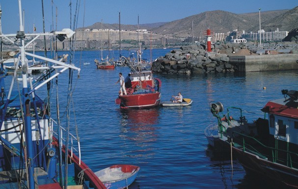 Canarias destina 642.791 euros a las Cofrad�as de Pescadores