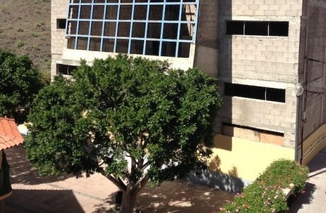 El Cabildo destina 1,6 millones de euros para la reforma del  Centro Sociocultural de Mog�n