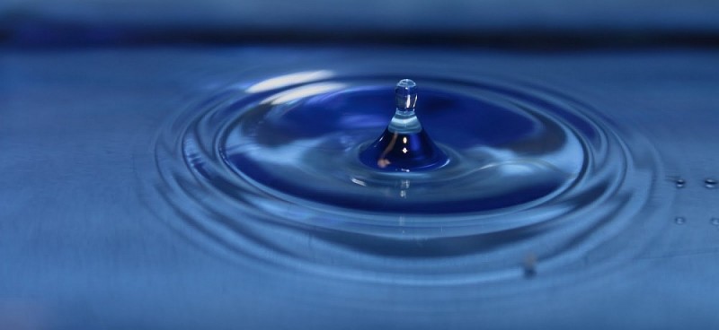 �Por qu� debemos tomar varios litros de agua al d�a?