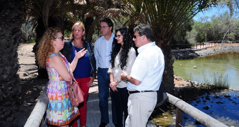 Cabildo y Ayuntamiento buscan alternativas al Parque Toni Gallardo