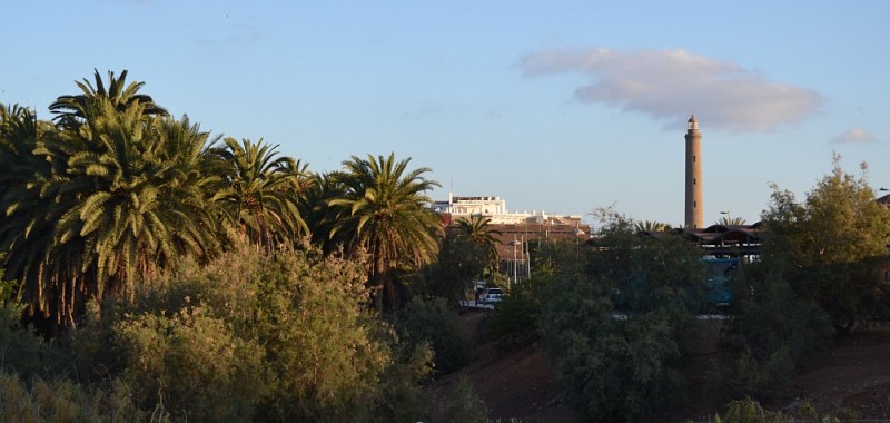 Ecologistas en Acci�n exigen ampliar la reserva de Maspalomas a toda la zona del Oasis