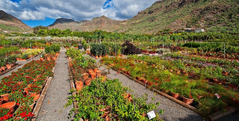 Naturaleza y reciclaje, la alternativa de ocio infantil para este verano