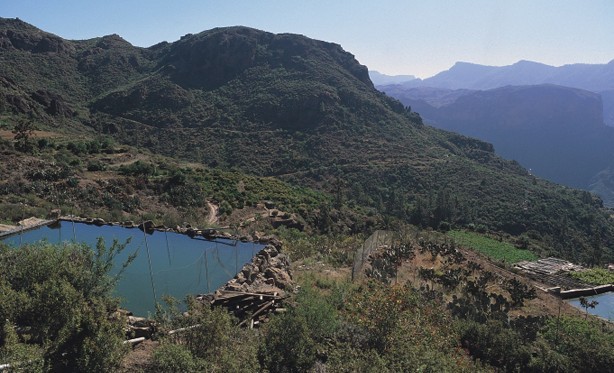 Mog�n pone en marcha el servicio de atenci�n t�cnica a los agricultores