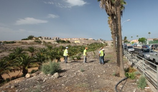 El Consorcio cambiar�  la cara sur de Sonneland 