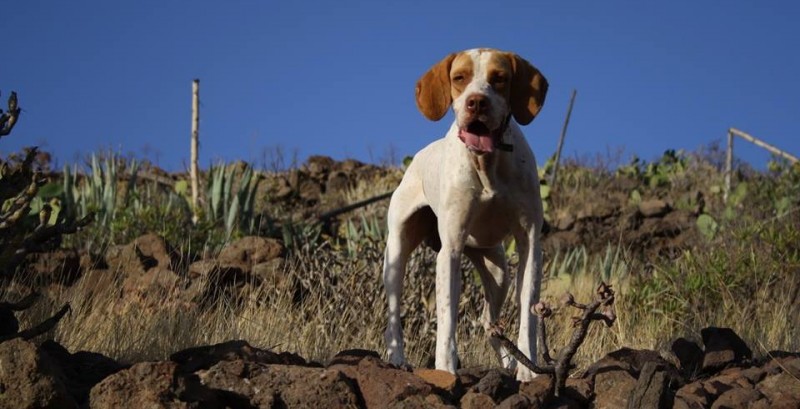 I Concurso de Fotograf�a 