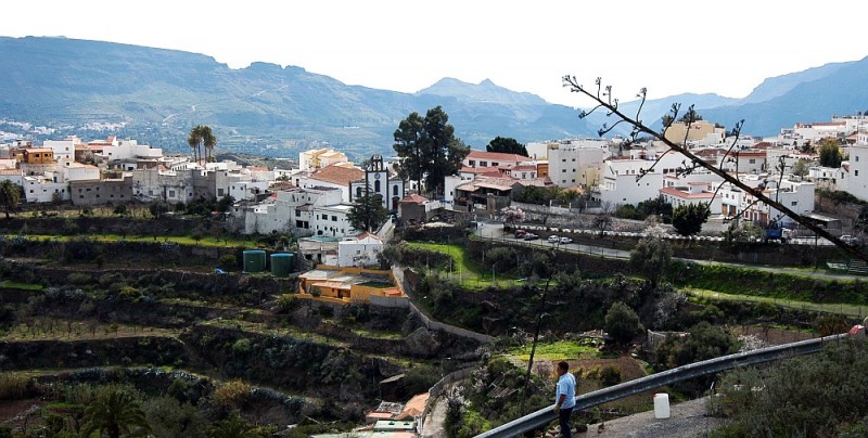 Tirajana apuesta por la agricultura ecol�gica