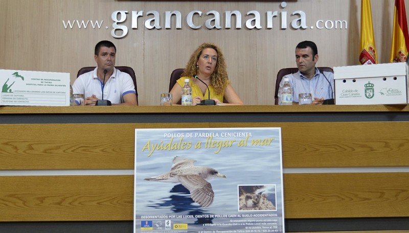 Asociaci�n de Amigos de la Pardela, ponen en marcha la campa�a de rescate y posterior suelta de pardelas cenicienta