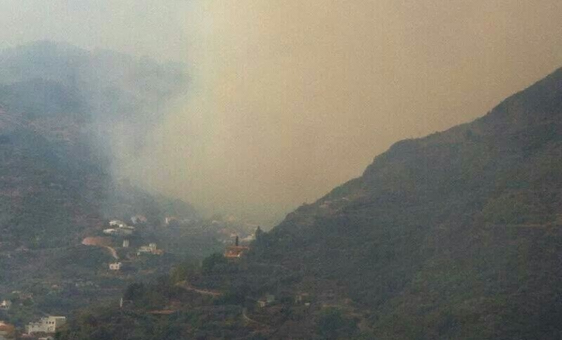 La zona m�s afectada por el incendio originado en la cumbre de Gran Canaria se localiza en Las Lagunetas