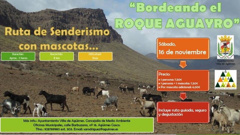 Ruta de senderismo con mascotas 