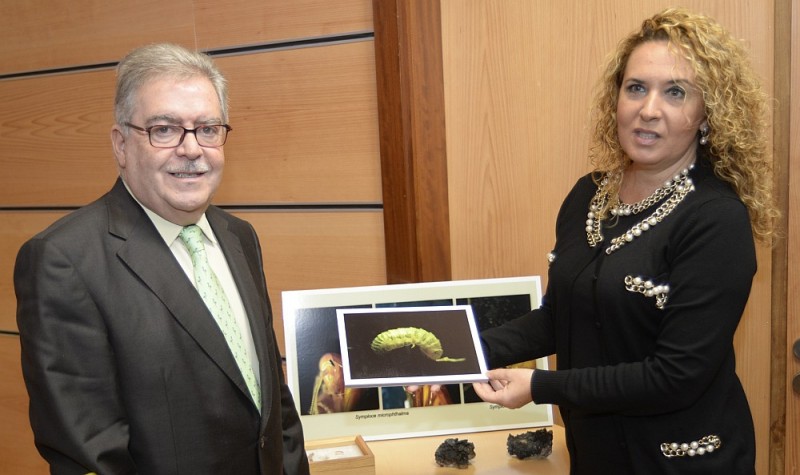 Descubre el que podr�a ser uno de los tubos volc�nicos m�s antiguos del planeta