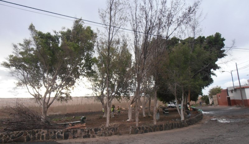 San Bartolom� limpia y adecenta los alrededores de todas las cuarter�as