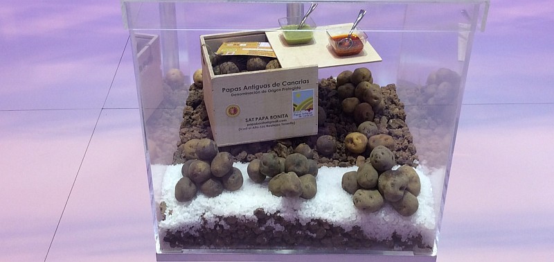 Kazajist�n se interesa en Fitur por los alimentos t�picos canarios